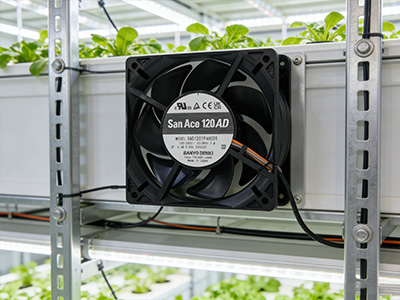 为何选用山洋 San Ace 工业散热风扇？ 